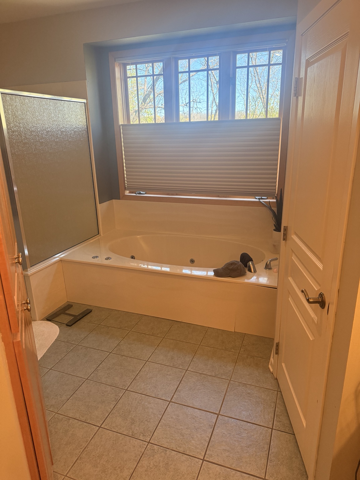 Bathroom tub before renovation