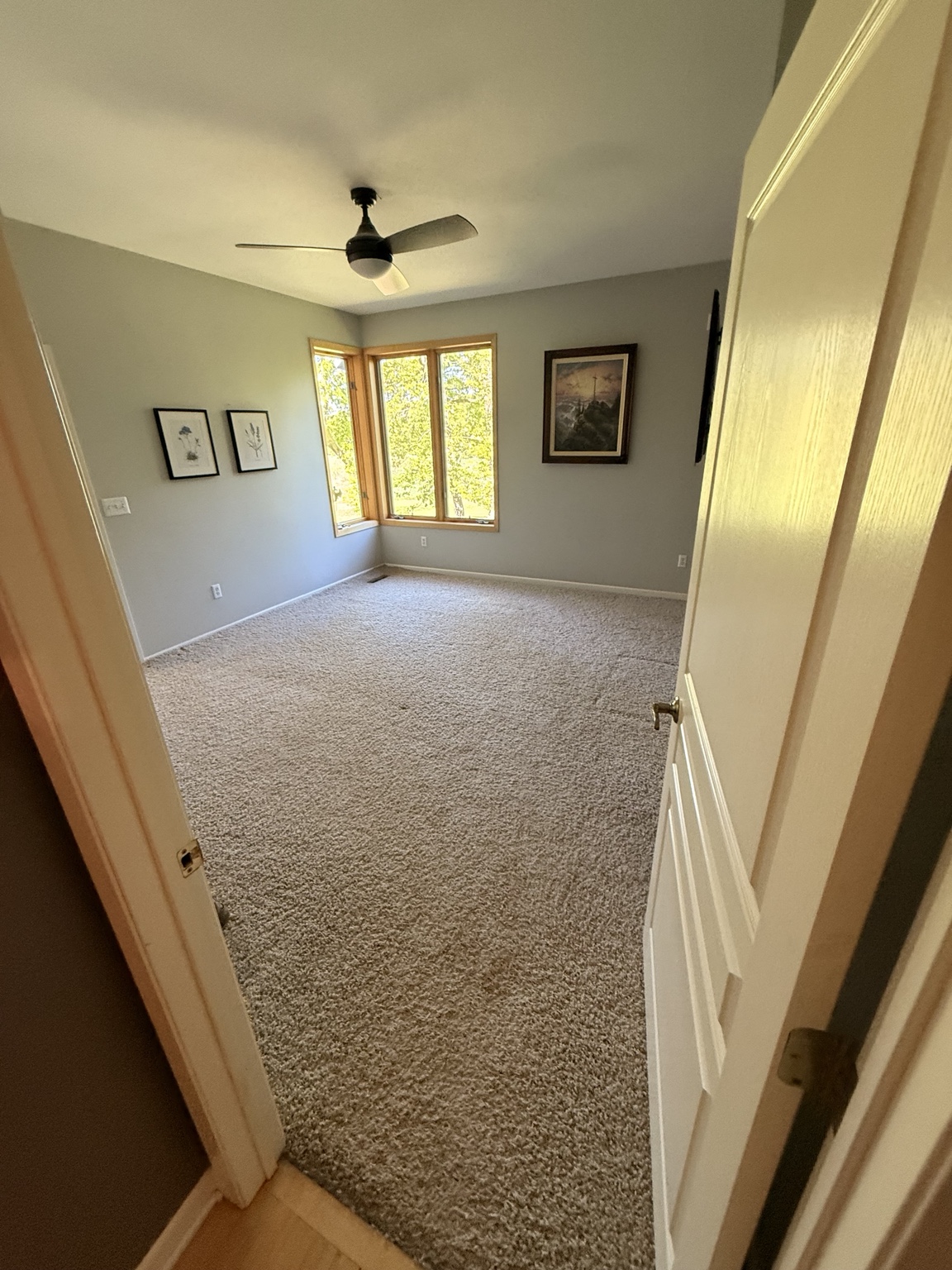 Finished bedroom with new carpet